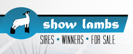 Sacred Silence Farm - Show Lambs